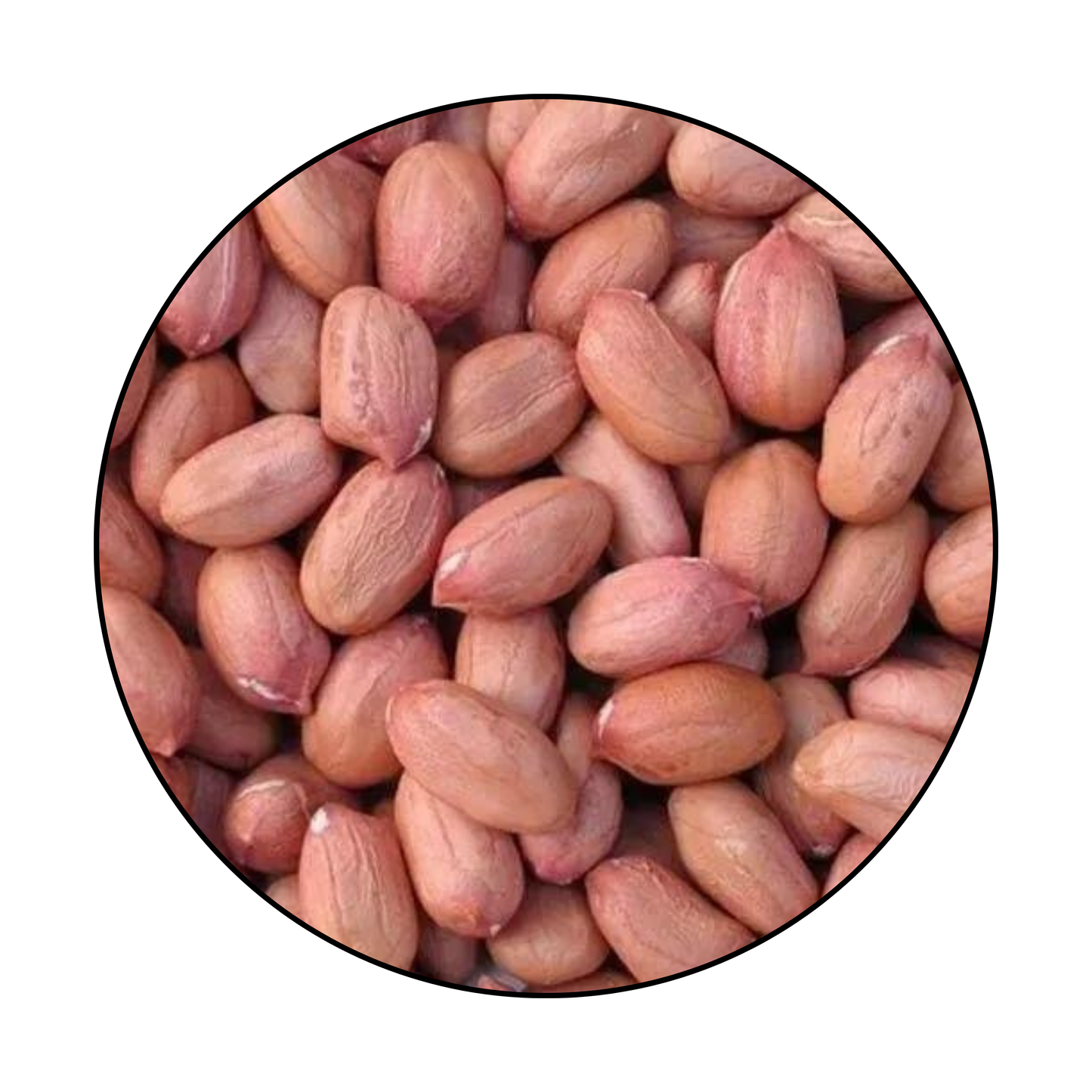 Premium Raw Peanuts – 1kg