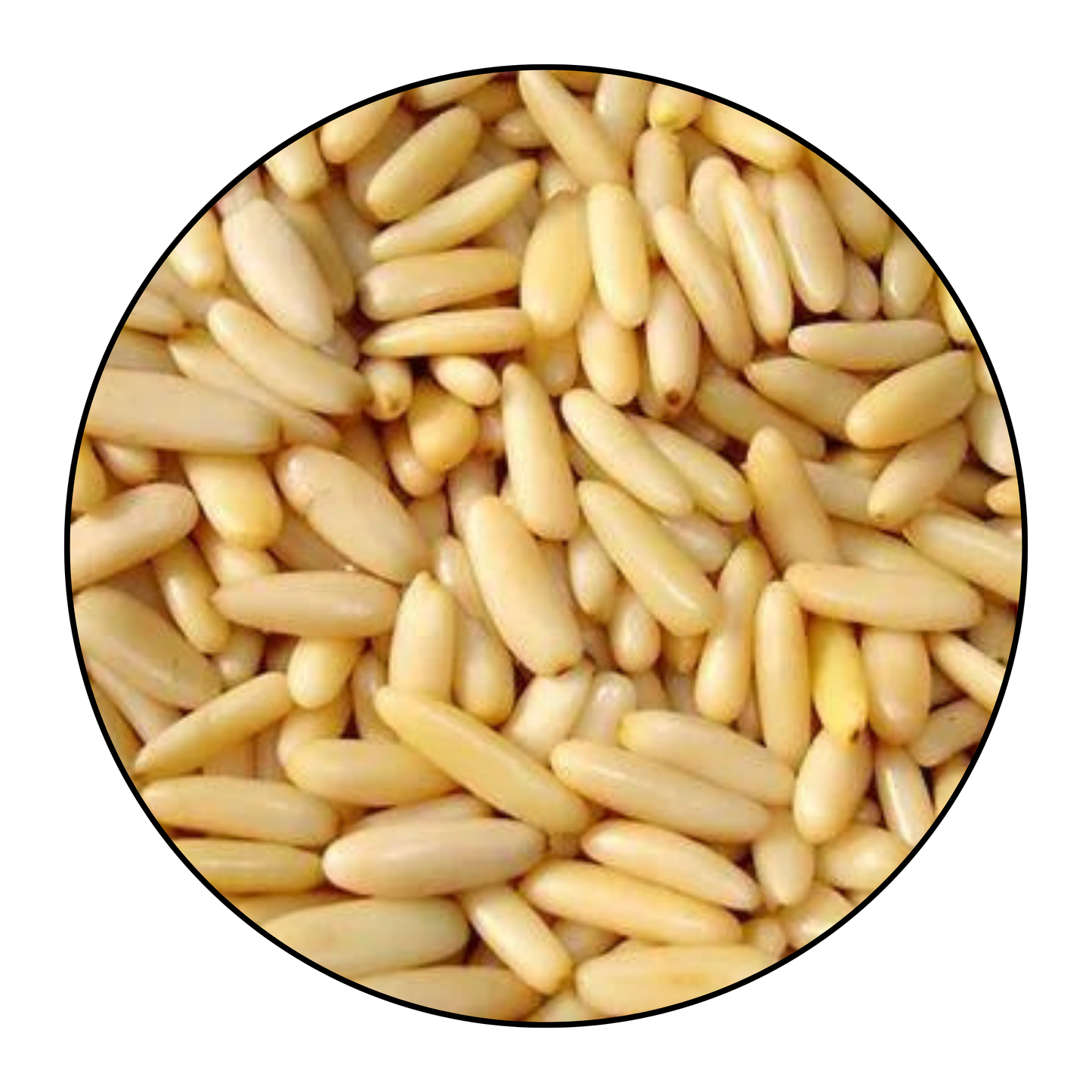 Premium Pine Nuts – 1kg